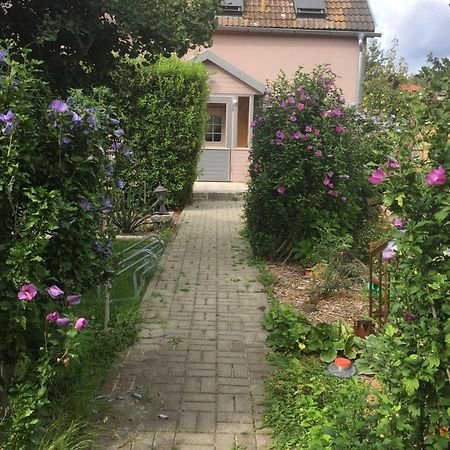 Ferienhaus-Geiserich Blankenburg  Kültér fotó